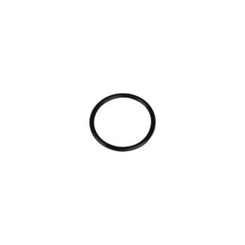 /cmsstatic/JPG/24733.0010_O-ring_1.jpg