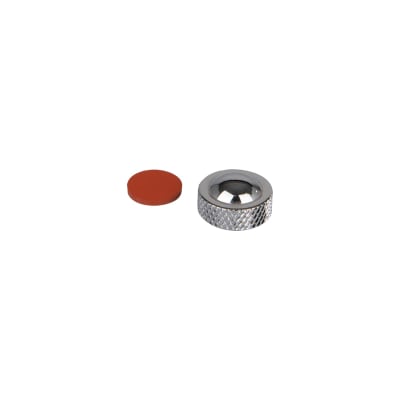 FAUCET CLEANOUT CAP W/GASKET