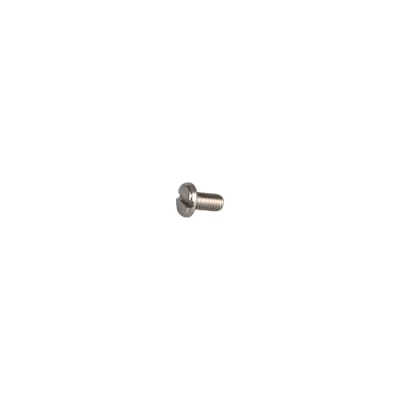 SCREW,PNH SLTD SST 10-32x.38
