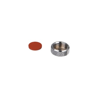 FAUCET CLEANOUT CAP W/GASKET