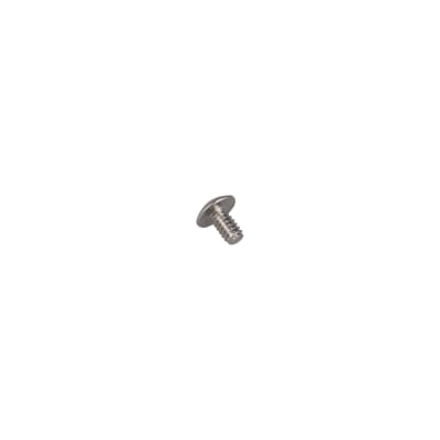 SCREW, TRH SLTD SST 6-32x.25