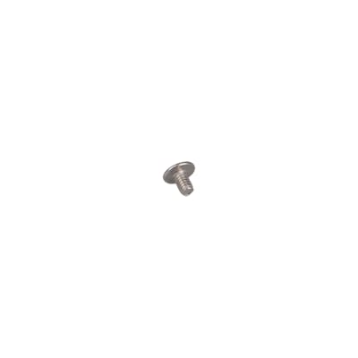SCREW, TRH SLTD SST 8-32x.25