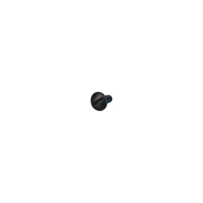 SCREW, TRHSLTD BLK 8-32x.38LKG