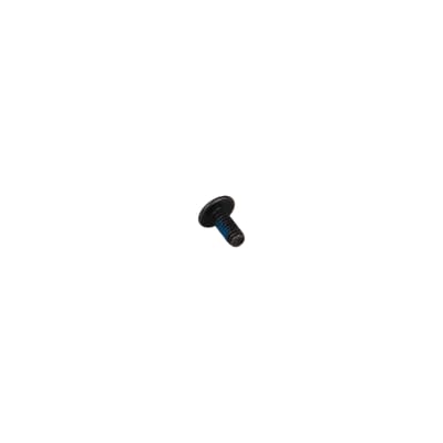 SCREW, TRHSLTD BLK 8-32x.38LKG