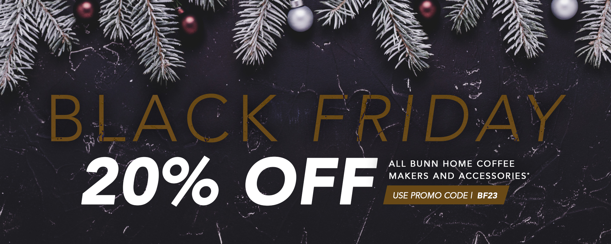 Cyber Monday Promo