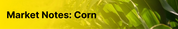 Market Notes: Corn