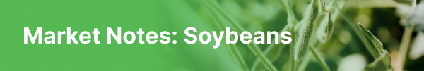 Market Notes: Soybeans