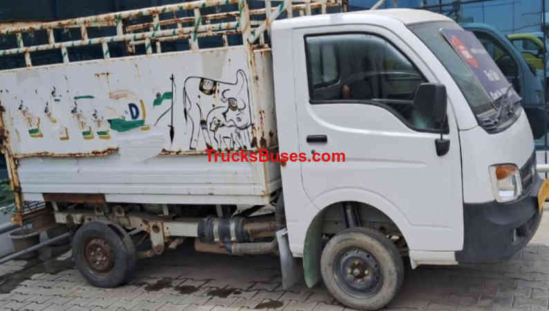 Tata Ace Images