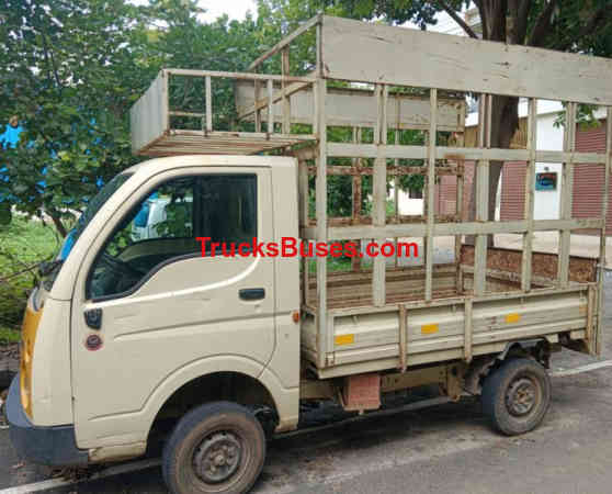 Tata Ace Gold 