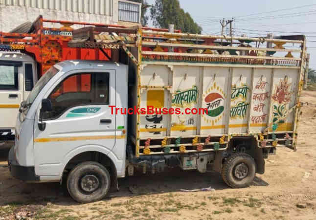 Tata Ace Gold 