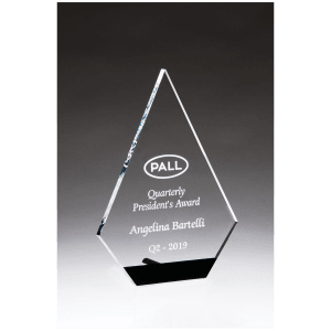 5 3/4" x 8" Diamond Series Clear Acrylic with Black Accent and Silver Post