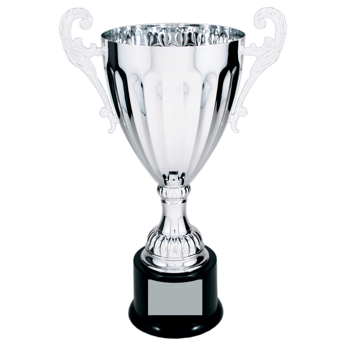 Silver Metal Cup, product photo