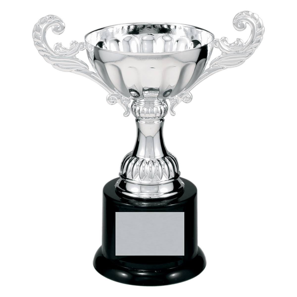 Silver Metal Cup, product photo