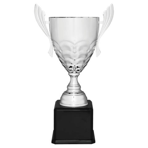 Silver Metal Cup