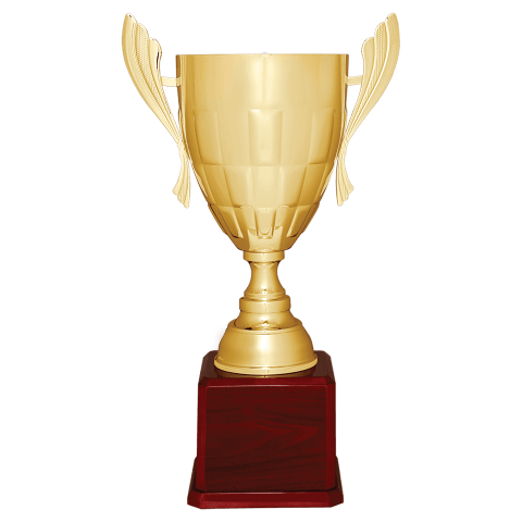 Gold Metal Cup