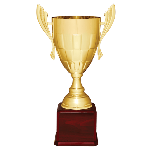 Gold Metal Cup