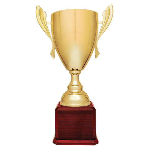 Gold Metal Cup