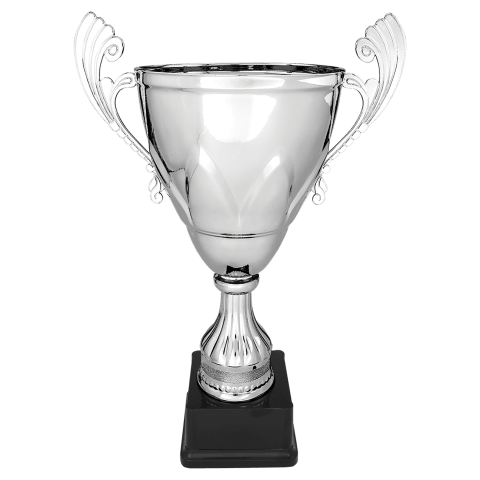 Silver Metal Cup
