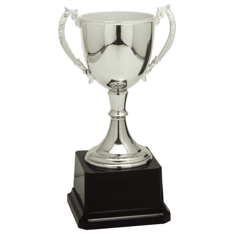 Silver Zinc Cup