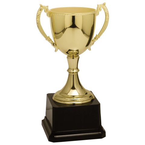 Gold Zinc Cup