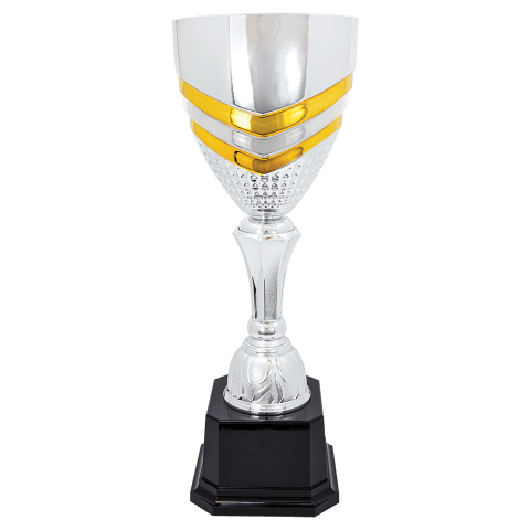 Silver/Gold Metal Cup