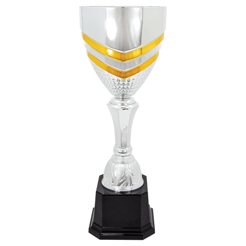 Silver/Gold Metal Cup