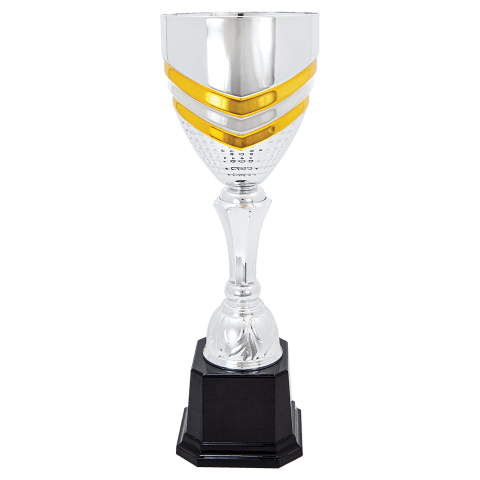 Silver/Gold Metal Cup
