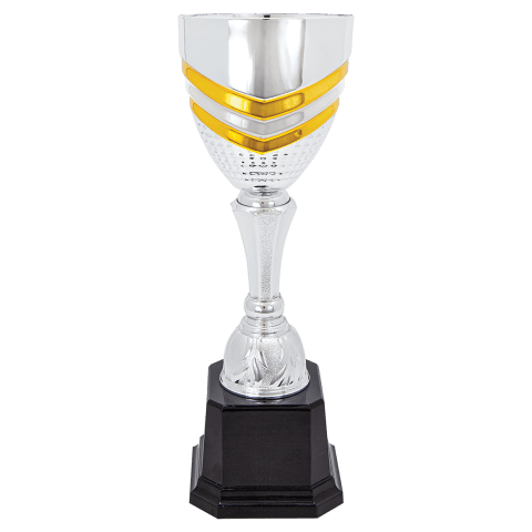Silver/Gold Metal Cup