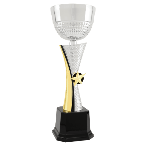 Silver/Gold Textured Metal Cup