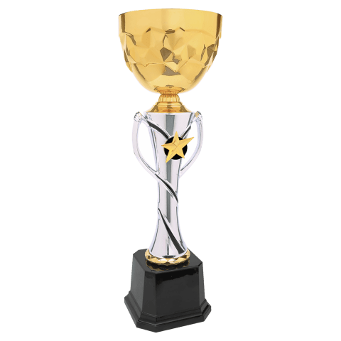 Gold/Silver Metal Cup