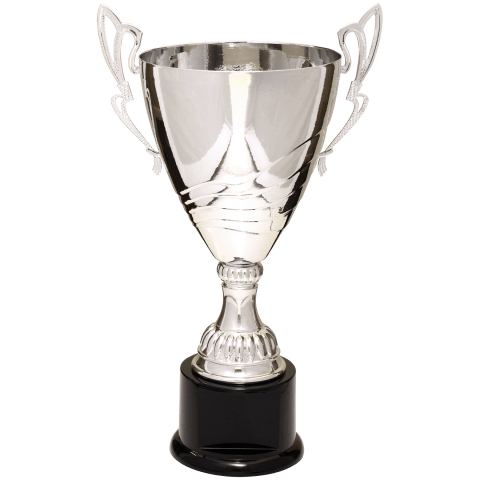 Silver Metal Cup