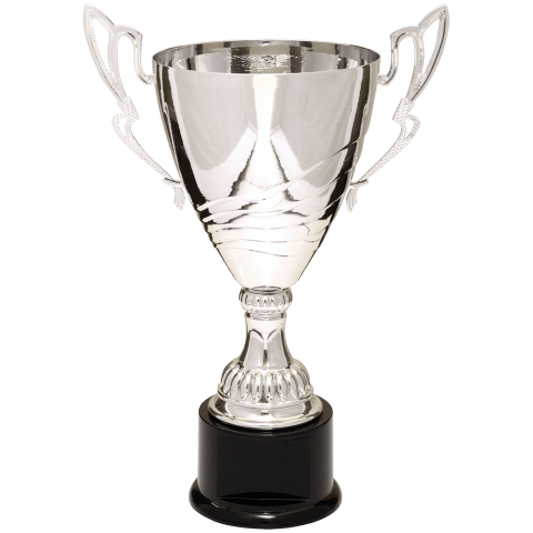 Silver Metal Cup