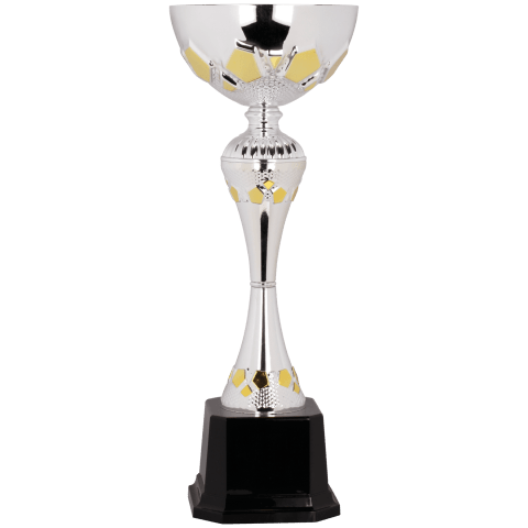 Silver/Gold Metal Cup