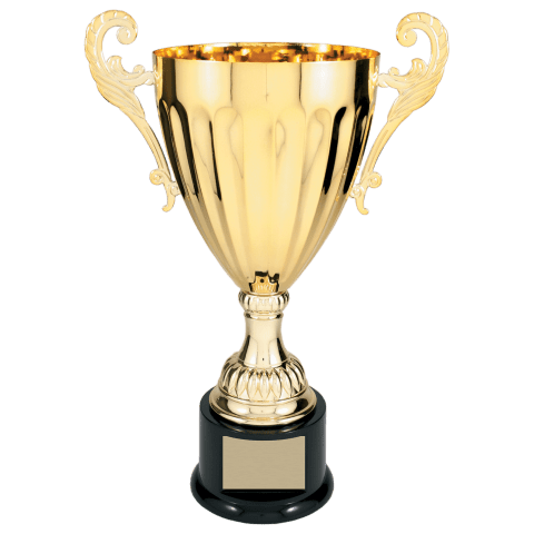 Gold Metal Cup