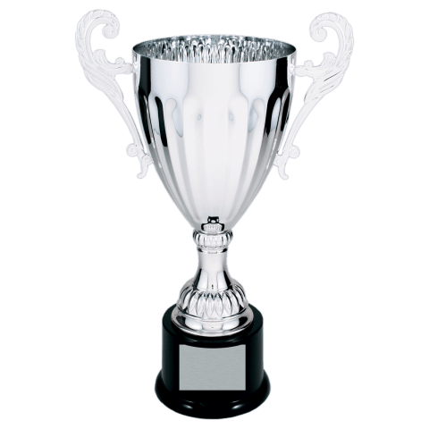 Silver Metal Cup