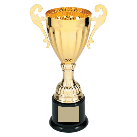 Gold Metal Cup