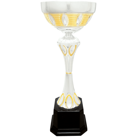 Silver/Gold Metal Cup