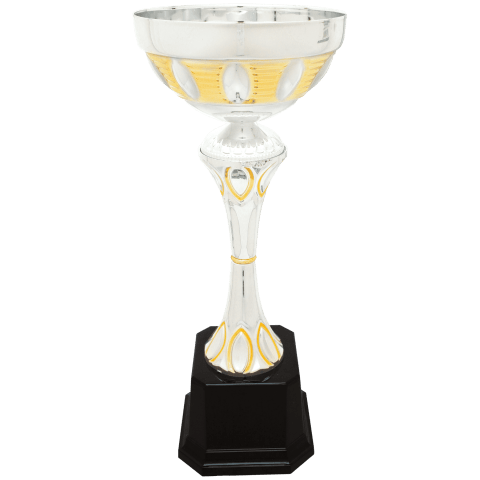Silver/Gold Metal Cup