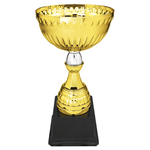 Gold/Silver Metal Cup