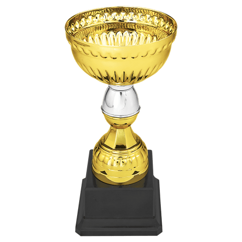Gold/Silver Metal Cup