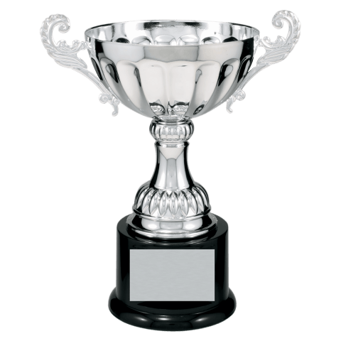 Silver Metal Cup