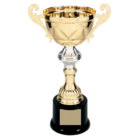 Gold Metal Cup