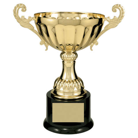 Gold Metal Cup