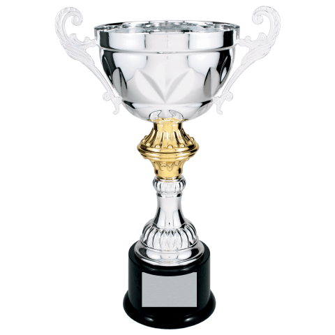 Silver Metal Cup