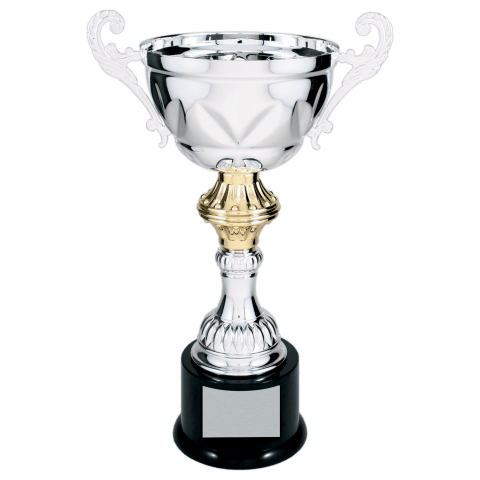 Silver Metal Cup