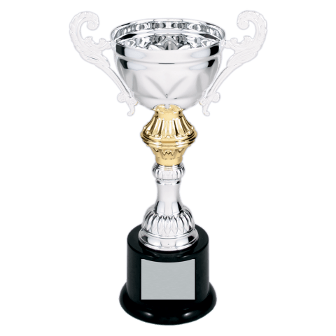 Silver Metal Cup