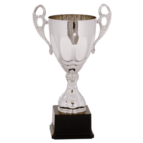 Silver Metal Cup
