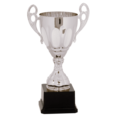 Silver Metal Cup