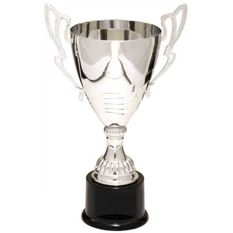 Silver Metal Cup