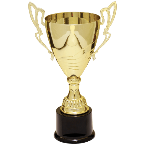 Gold Metal Cup